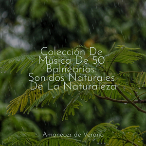 Ritmos Melancólicos Liberados