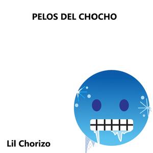 Pelos del Chocho