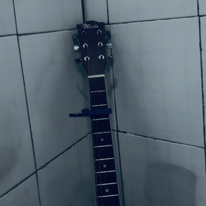 妓和不如（烟酒嗓）