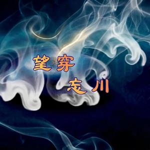 望穿忘川