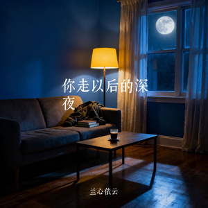 你走以后的深夜