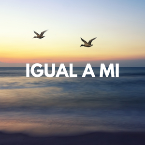 Igual a Mi
