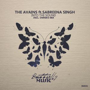 Into The Sound (Omniks Remix)