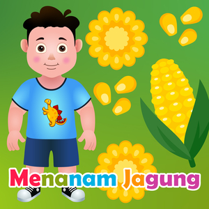 Menanam Jagung