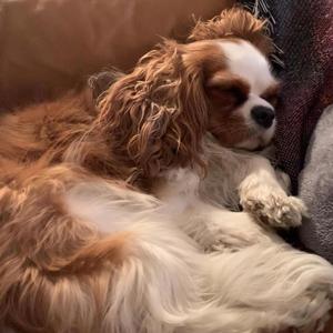 Taking A Snooze