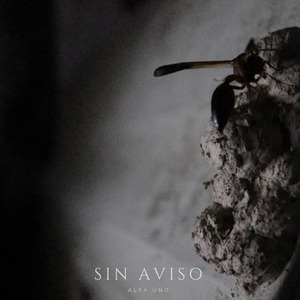 Sin Aviso