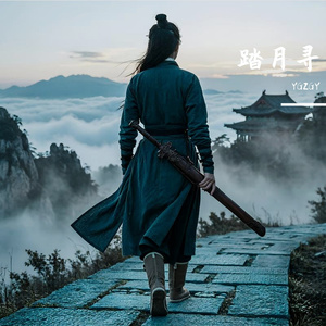 踏月寻