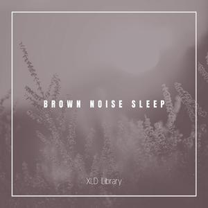 Brown Sleep Noise