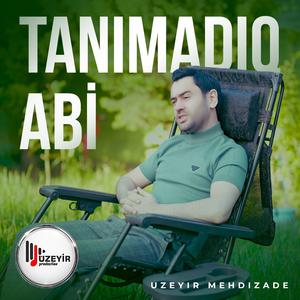 Tanimadiq Abi
