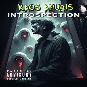Introspection