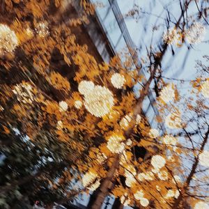 exhort （Prod.FiSeeE）