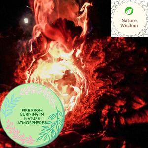 An Important Country Morning