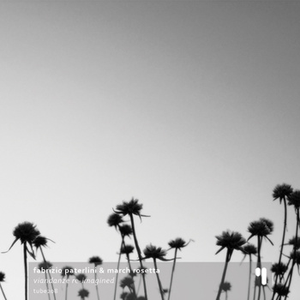 Veloma (re-imagined)