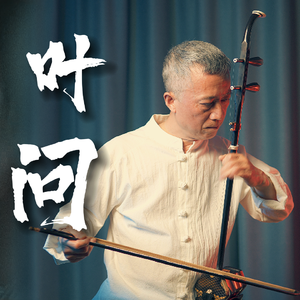 《一代宗师》二胡版