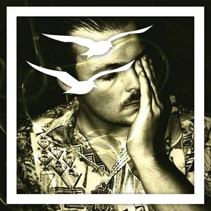 Za Nimi (Ptaki remix)