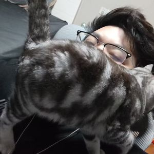 重生之我在西米排挡