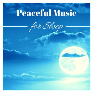 I Like It When You Sleep