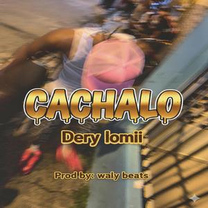 CACHALO