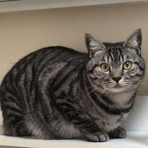 游向有你的方向