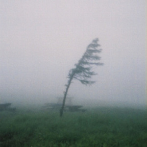 reminiscence