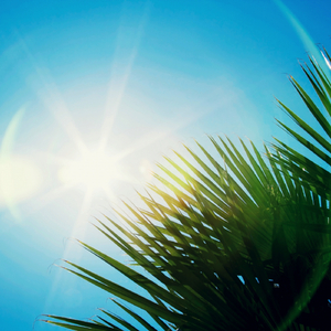 Sunbeam (Extended Mix)