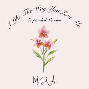 I Like The Way You Love Me (The Single Remix)