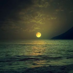 GD K-pop beat "Who You"