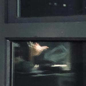 一首随便的歌送给随便的你