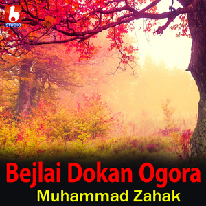 Bejlai Dokan Ogora