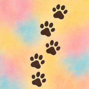 ねこちゃん大集合