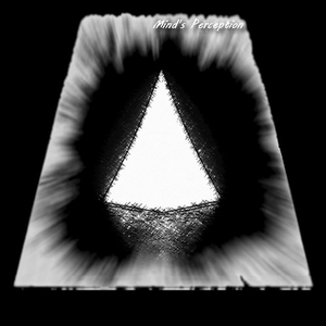 Mind's Perception