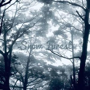 Snow Forest