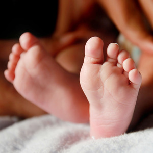 어린 송아지 (자장가 태교동요)