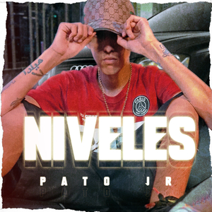 Niveles