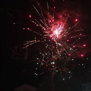 应天影-终身孤独