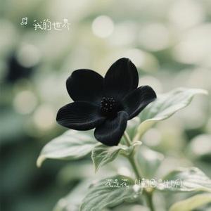 花是花 (遗憾男生版) (Cover 渡)