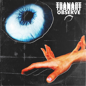 Observe