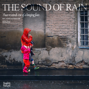 그리운 얼굴이 생각나는 빗소리 The sound of rain that reminds me of a longing face