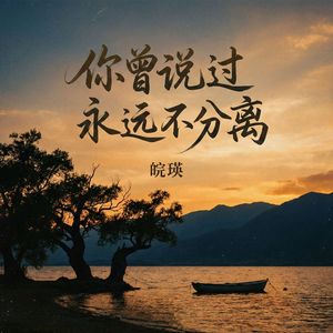 你曾说过永远不分离