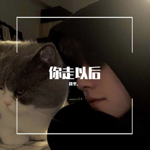 你走以后
