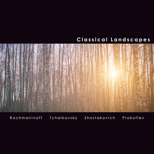 Song Without Words in D Minor, TN ii:11