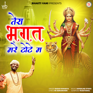 Tera Bhagat Mare Tote Mein