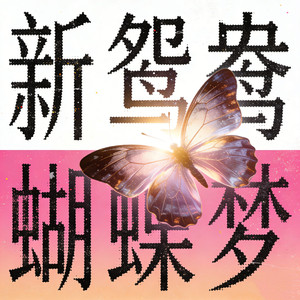 新鸳鸯蝴蝶梦（R&B版）