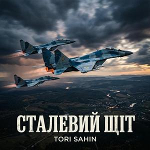 Сталевий щіт