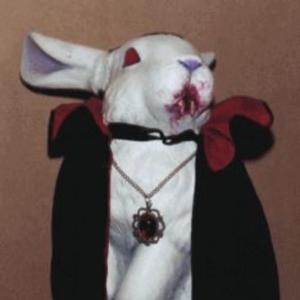 u fan onnat gram (feat. hav7c)