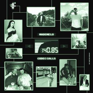 Documented (feat. Meloseerina)