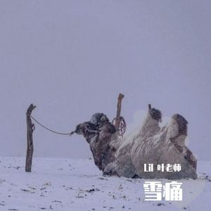 Capper-太痛了（Lil 叶老师 remix）