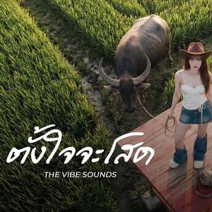 ตั้งใจจะโสด - RachYO Version: Modern Neo-Soul, Jazz Fusion