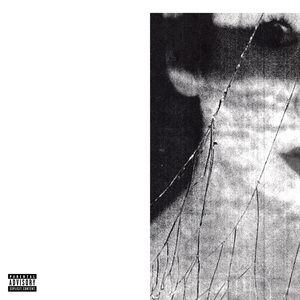 Being Vulnerable Is Suicide