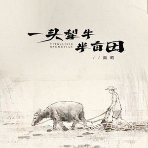 一头犁牛半亩田